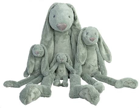 Peluche lapin richie 38 cm Vert 2 - vertbaudet enfant 