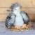 Peluche poule poulette 20 cm Blanc 2 - vertbaudet enfant 