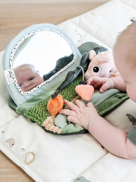 Miroir d'éveil Tummy time Tiny farm multicolore 1 - vertbaudet enfant 