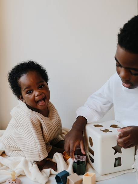 Boîte à formes MUSHIE multicolore 1 - vertbaudet enfant 