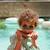 Lunettes de soleil woam Jaune+Pêche+Vert olive+Violet 16 - vertbaudet enfant 