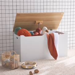 Chambre et rangement-Coffre à jouets - tobias - , 80x40 cm, couvercle rabattable, poignées latérales