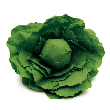 Laitue verte Vert 1 - vertbaudet enfant 