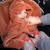 Poncho de voyage - moelleux douceur Blush+Grizou+Lunar+Natural+Noisette+Sauge+Stone+Turquoise 29 - vertbaudet enfant 