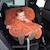 Poncho de voyage - moelleux douceur Blush+Grizou+Lunar+Natural+Noisette+Sauge+Stone+Turquoise 26 - vertbaudet enfant 