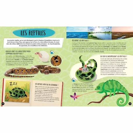 Coffret méga atlas des animaux Multicolore 6 - vertbaudet enfant 
