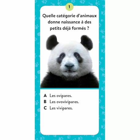 Coffret méga atlas des animaux Multicolore 4 - vertbaudet enfant 