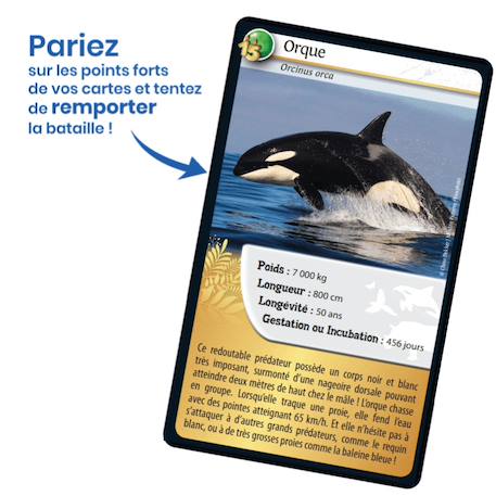 Jeu de cartes défis nature - 15ème anniversaire - fabriqué en france MULTICOLORE 3 - vertbaudet enfant 