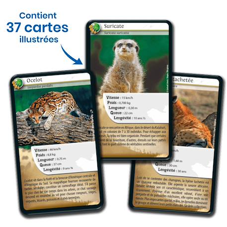 Jeu de cartes défis nature - carnivores  - fabriqué en france MULTICOLORE 4 - vertbaudet enfant 