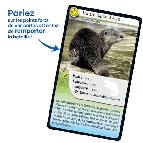 Jeu de cartes défis nature - animaux d'eau douce - fabriqué en france MULTICOLORE 3 - vertbaudet enfant 