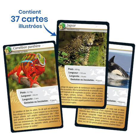 Jeu de cartes défis nature - 15ème anniversaire - fabriqué en france MULTICOLORE 4 - vertbaudet enfant 