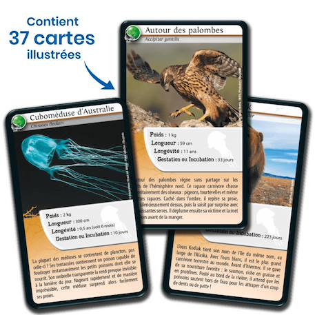 Jeu de cartes défis nature - animaux redoutables - fabriqué en france MULTICOLORE 4 - vertbaudet enfant 