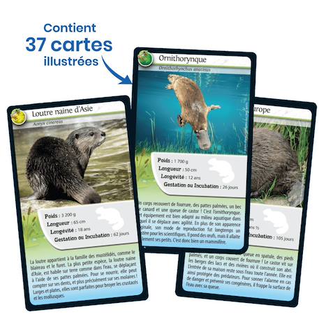 Jeu de cartes défis nature - animaux d'eau douce - fabriqué en france MULTICOLORE 4 - vertbaudet enfant 