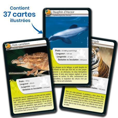 Jeu de cartes défis nature - super pouvoirs des animaux - fabriqué en france MULTICOLORE 4 - vertbaudet enfant 