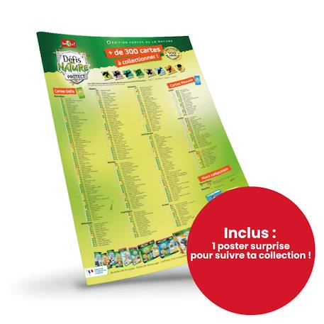 Jeu de cartes à collectionner défis nature protect - coffret 4 boosters - orque et requin - fabriqué en france MULTICOLORE 4 - vertbaudet enfant 