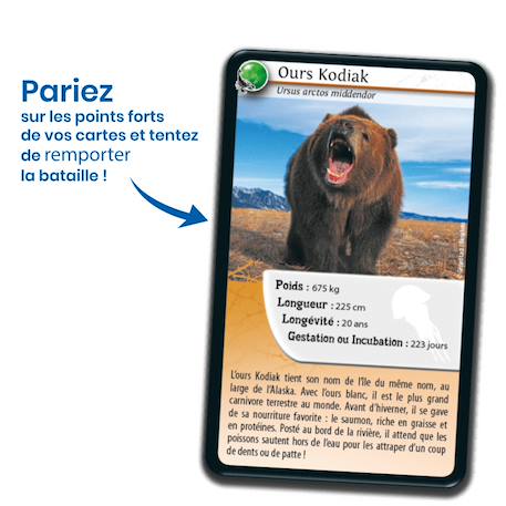 Jeu de cartes défis nature - animaux redoutables - fabriqué en france MULTICOLORE 3 - vertbaudet enfant 