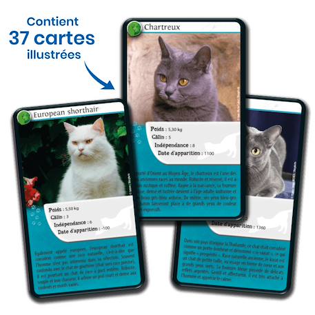 Jeu de cartes défis nature - chats  - fabriqué en france MULTICOLORE 4 - vertbaudet enfant 