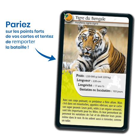 Jeu de cartes défis nature - super pouvoirs des animaux - fabriqué en france MULTICOLORE 3 - vertbaudet enfant 