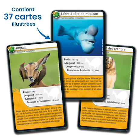Jeu de cartes défis nature - animaux rigolos - fabriqué en france MULTICOLORE 4 - vertbaudet enfant 