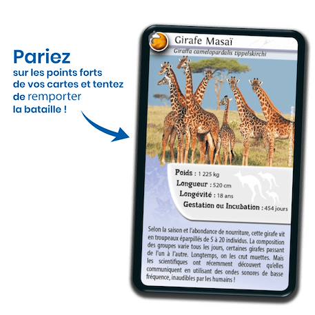 Jeu de cartes défis nature - animaux inséparables - fabriqué en france MULTICOLORE 3 - vertbaudet enfant 