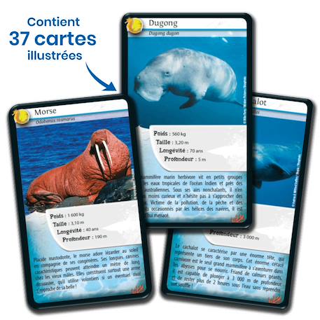 Jeu de cartes défis nature - animaux marins  - fabriqué en france MULTICOLORE 4 - vertbaudet enfant 