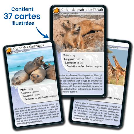 Jeu de cartes défis nature - animaux inséparables - fabriqué en france MULTICOLORE 4 - vertbaudet enfant 