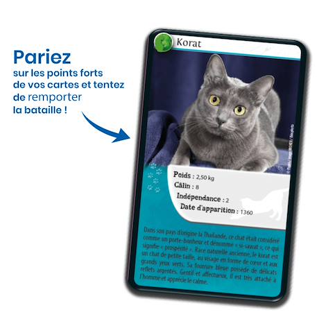 Jeu de cartes défis nature - chats  - fabriqué en france MULTICOLORE 3 - vertbaudet enfant 
