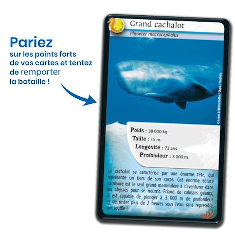 Jeu de cartes défis nature - animaux marins  - fabriqué en france MULTICOLORE 3 - vertbaudet enfant 