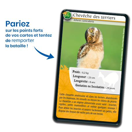 Jeu de cartes défis nature - animaux rigolos - fabriqué en france MULTICOLORE 3 - vertbaudet enfant 