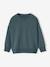 Lot 2 Sweats Unis Manches Longues Garçon vert d'eau 4 - vertbaudet enfant 