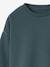 Lot 2 Sweats Unis Manches Longues Garçon vert d'eau 3 - vertbaudet enfant 