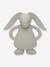 Lapin de dentition en caoutchouc naturel gris 1 - vertbaudet enfant 
