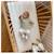 Matelas coton 60x120cm déhoussable à 360° Beige 2 - vertbaudet enfant 