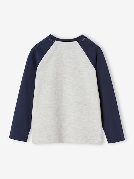 T-shirt motif graphique garçon manches raglan blanc chiné+kaki+lichen+noix de pécan 2 - vertbaudet enfant 
