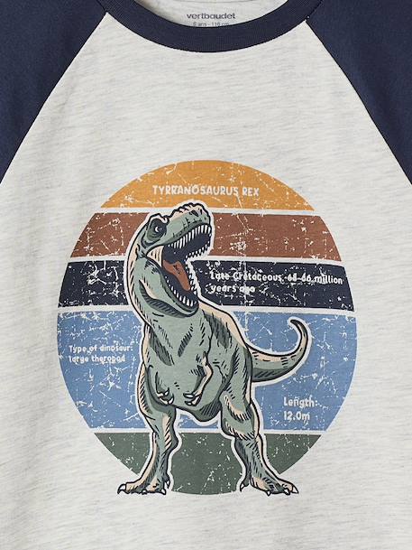 T-shirt motif graphique garçon manches raglan blanc chiné+kaki+lichen+noix de pécan 3 - vertbaudet enfant 