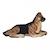 Tapis enfant  en laine motif animaux dog Beige 1 - vertbaudet enfant 