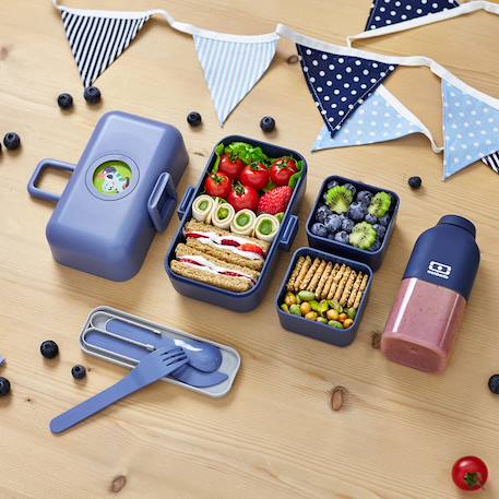 Lunch box à compartiments 800ml tresor Bleu dino+Bleu infinity+Bleu wolf+Cannelle fox+Rose birds+Rose blush+Rose papercut+Vert forest+Vert raccoon 11 - vertbaudet enfant 