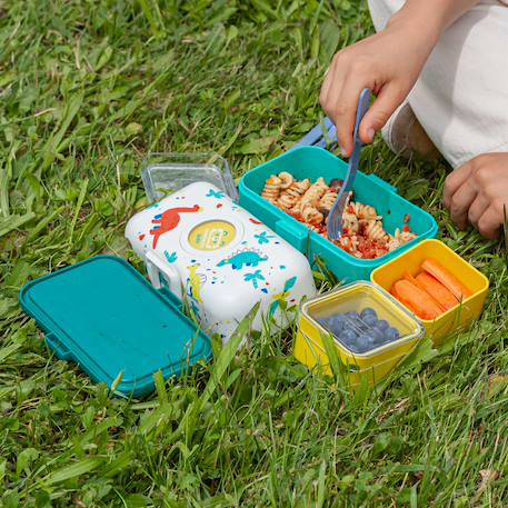 Lunch box à compartiments 800ml tresor Bleu dino+Bleu infinity+Bleu wolf+Cannelle fox+Rose birds+Rose blush+Rose papercut+Vert forest+Vert raccoon 6 - vertbaudet enfant 