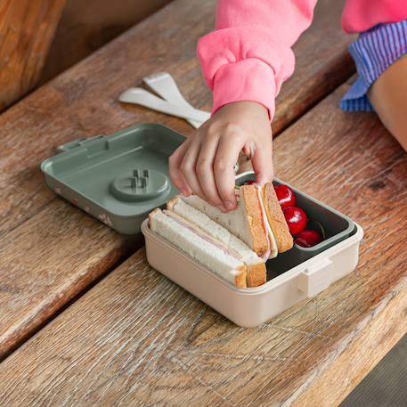 Boite à sandwich et goûter 850ml snacky Bleu dino+Bleu infinity+Bleu wolf+Cannelle fox+Rose birds+Rose blush+Vert forest+Vert raccoon 47 - vertbaudet enfant 
