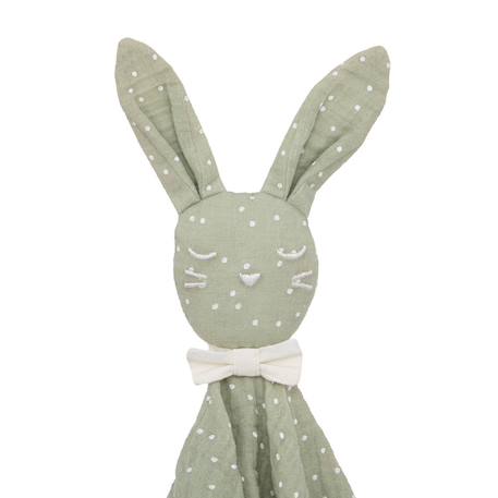 Doudou - lapin Vert 2 - vertbaudet enfant 