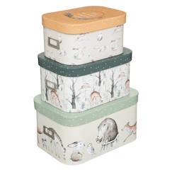 Chambre et rangement-Rangement-Set de 3 boites de rangement enfant - eleo