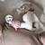 Doudou attache sucette heaven clay-warm linen Beige, marron, noir 6 - vertbaudet enfant 