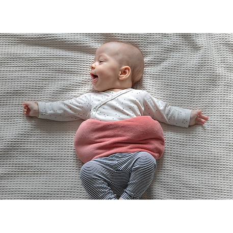 Bouillotte sèche déhoussable aux graines de lin - dusty clay Rouge 3 - vertbaudet enfant 
