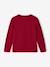 T-shirt garçon unis manches longues personnalisable anthracite+Bleu+jaune+rouge+vert+vert sapin 22 - vertbaudet enfant 
