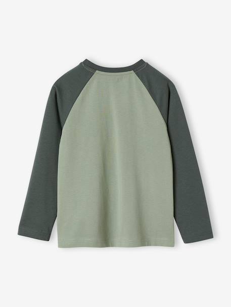 T-shirt motif graphique garçon manches raglan blanc chiné+kaki+lichen+noix de pécan 5 - vertbaudet enfant 