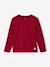 T-shirt garçon unis manches longues personnalisable anthracite+Bleu+jaune+rouge+vert+vert sapin 20 - vertbaudet enfant 