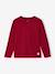 T-shirt garçon unis manches longues personnalisable anthracite+Bleu+jaune+rouge+vert+vert sapin 21 - vertbaudet enfant 