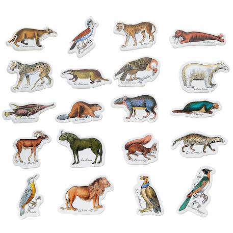 Magnets zoologiques de buffon Beige 3 - vertbaudet enfant 