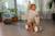 Tricyle en bois boho chic tiny love Bois 3 - vertbaudet enfant 
