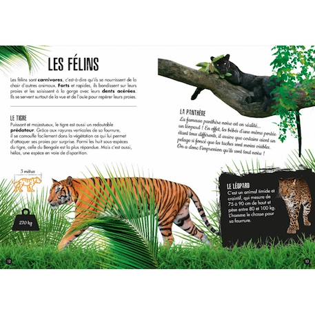 La jungle - l'éléphant 3d Vert 3 - vertbaudet enfant 